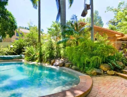 5 Best Plants for Pool Landscaping in Brisbane