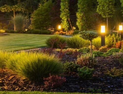 Top 10 New Build Landscaping Ideas for Your Brisbane Home