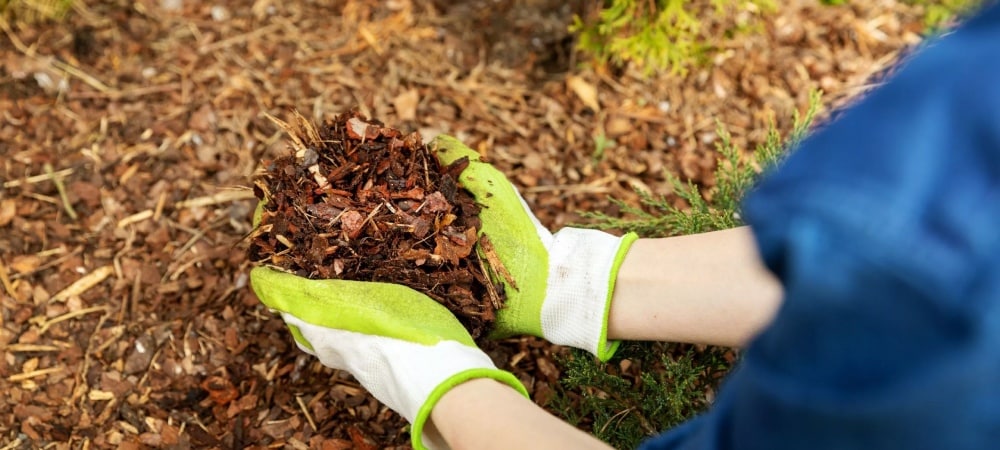 Mulch Magic_ Keeping Your Soil Healthy