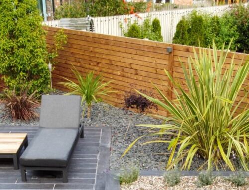 10 Easy Low-Maintenance Landscaping Ideas For Your Brisbane Backyard
